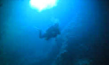 Diving in Anti Paxos