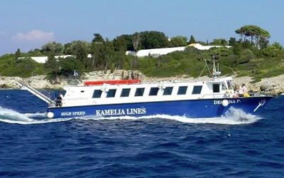 Kamelia Lines / Despina